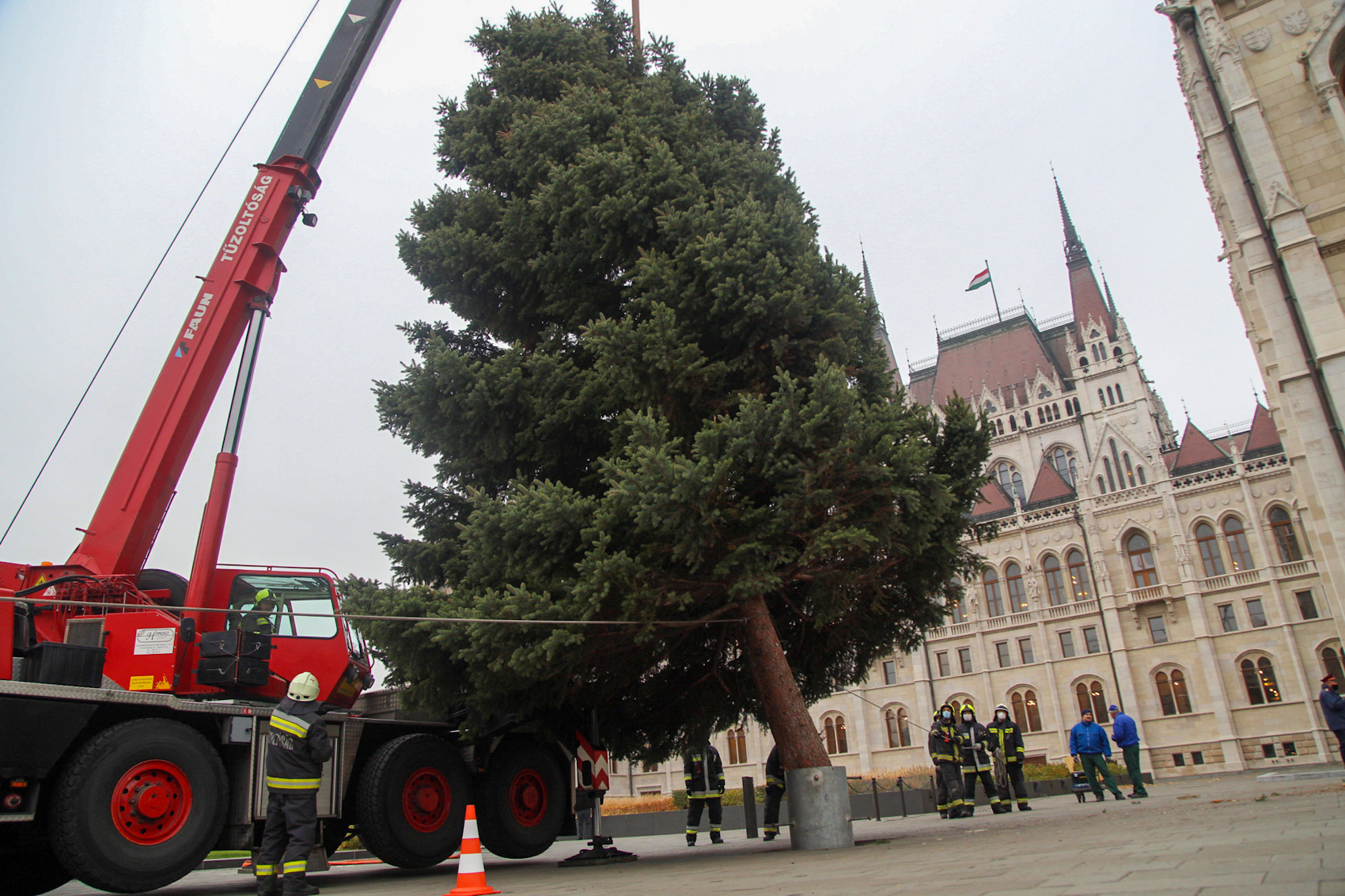 Kiderült, honnan érkezik az ország karácsonyfája idén Budapestre