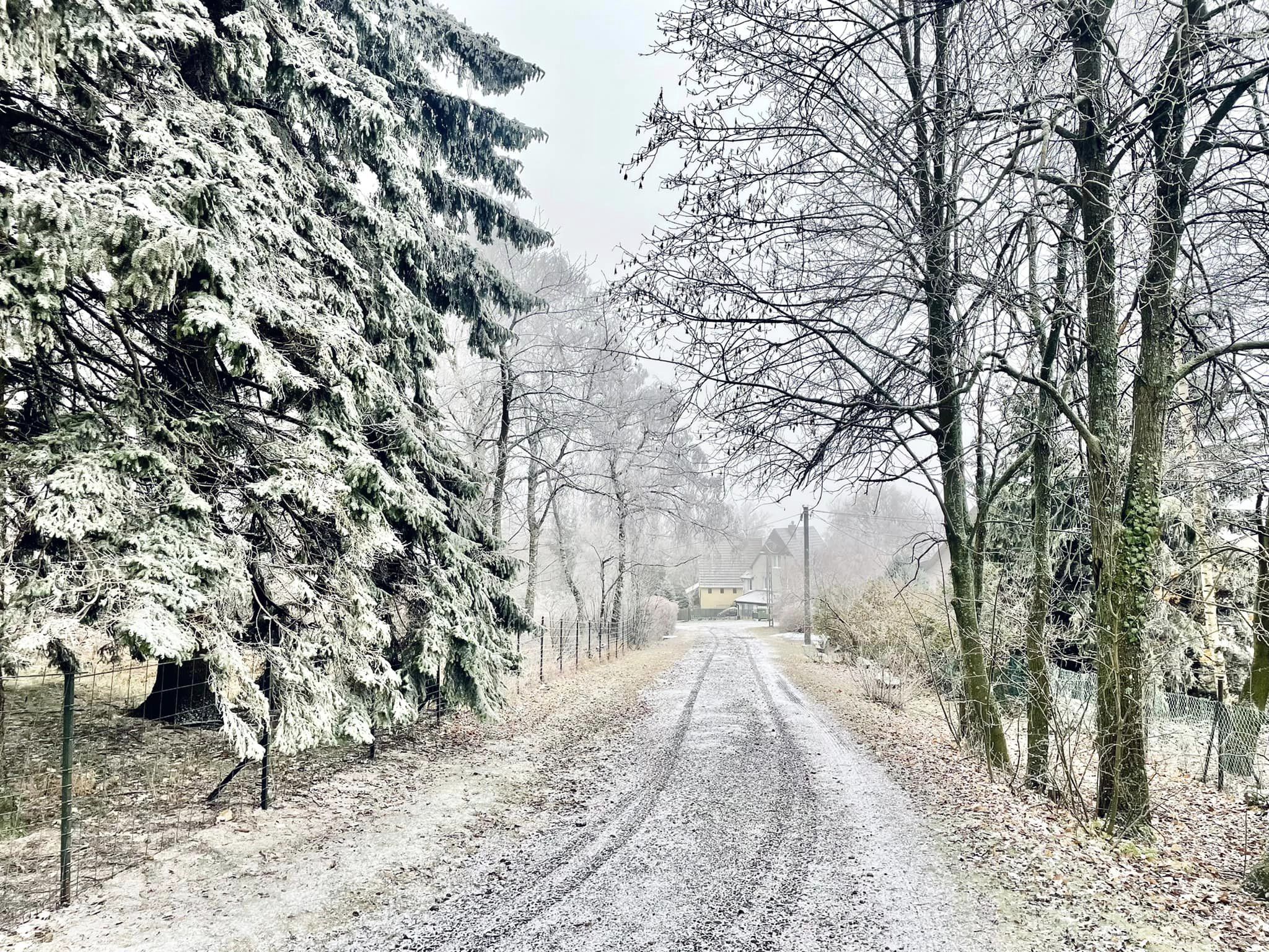 Hófúvás, szélvihar, hidegbetörés – ez vár ránk a hétvégén