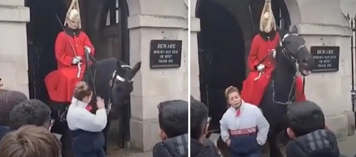 Leüvöltötte egy turista fejét a Buckingham-palota őre, mert pofozgatni kezdte a lovát