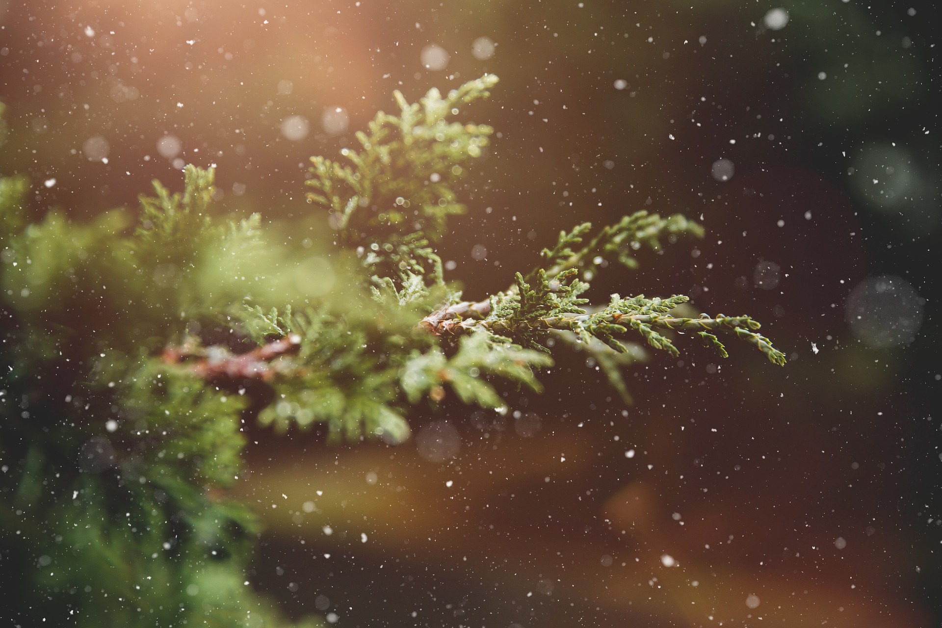 KVÍZ: 15 kérdés a karácsonyról – mennyire ismered az egyik legszebb ünnepet?