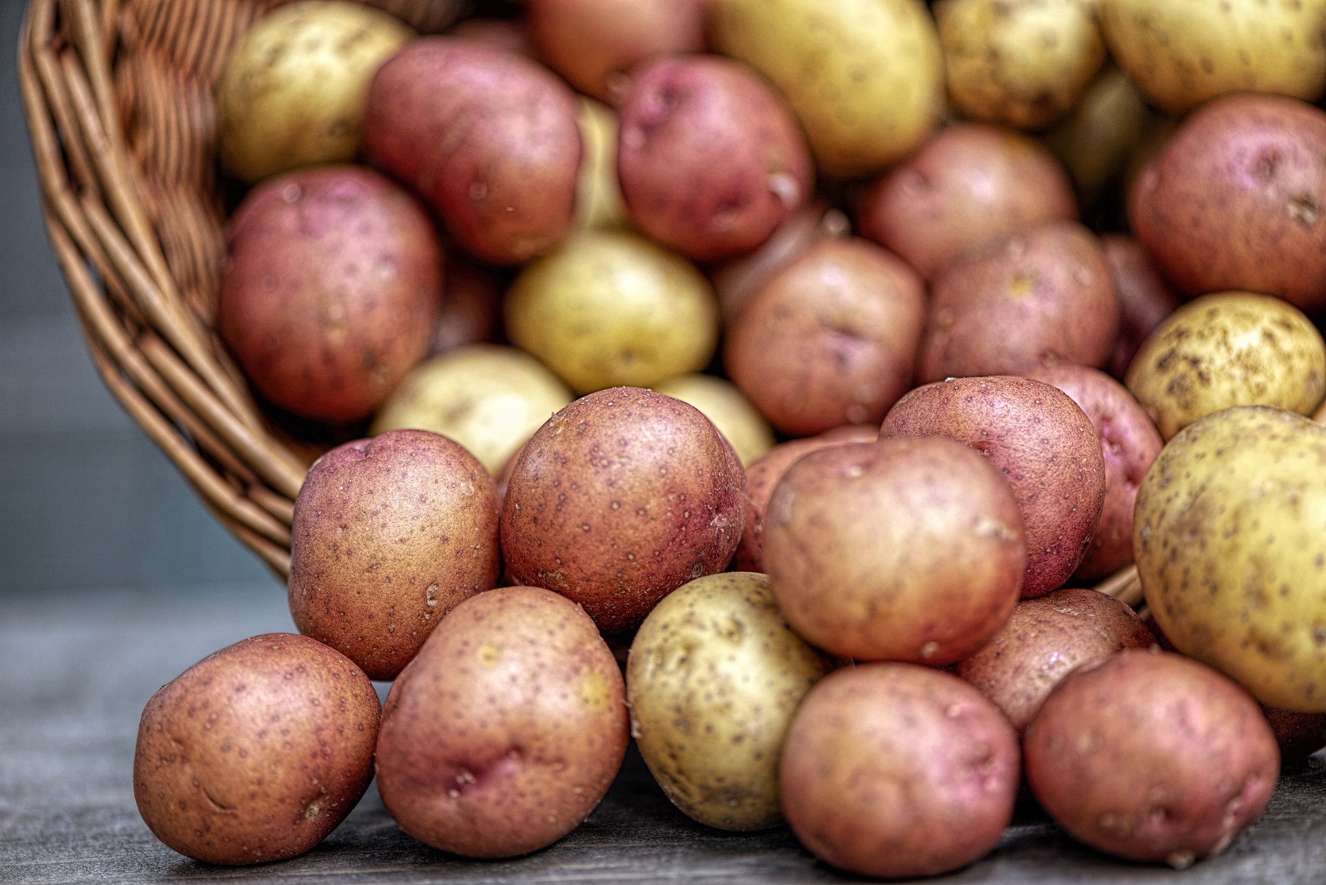 Újabb hiány: elfogyhat a magyar krumpli, az olcsóbb külföldi krumpli lesz kapható jövőre a boltokban