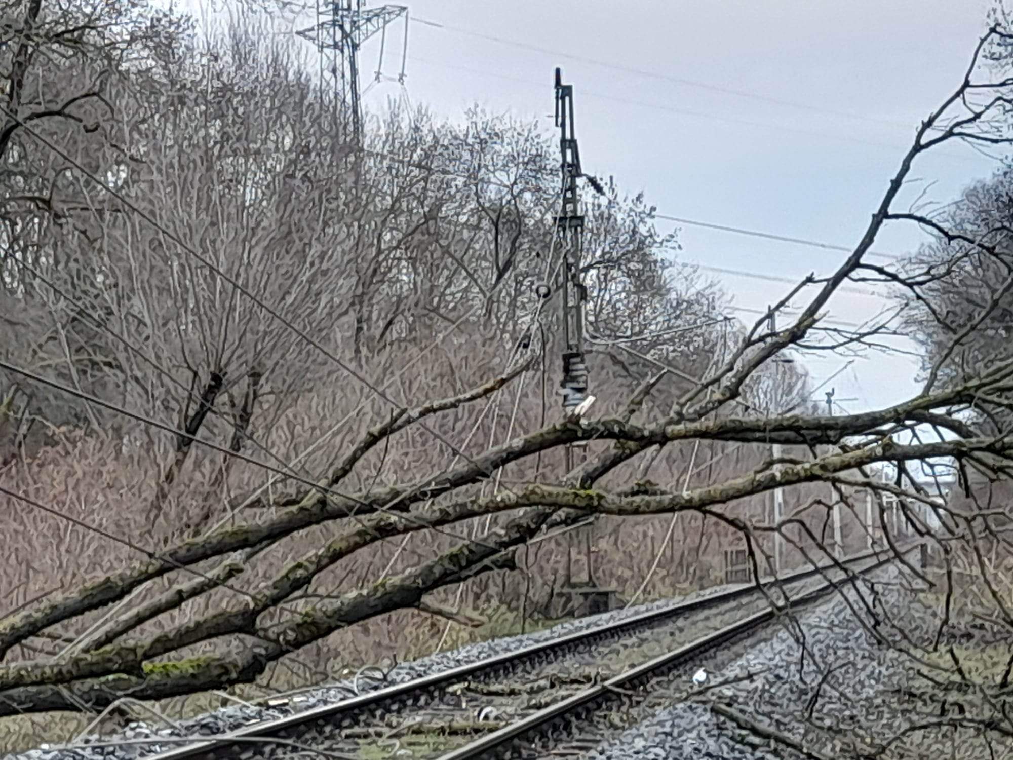 Szélviharban kidőlt fák miatt több vasútszakasz járhatatlan, óriásiak a késések