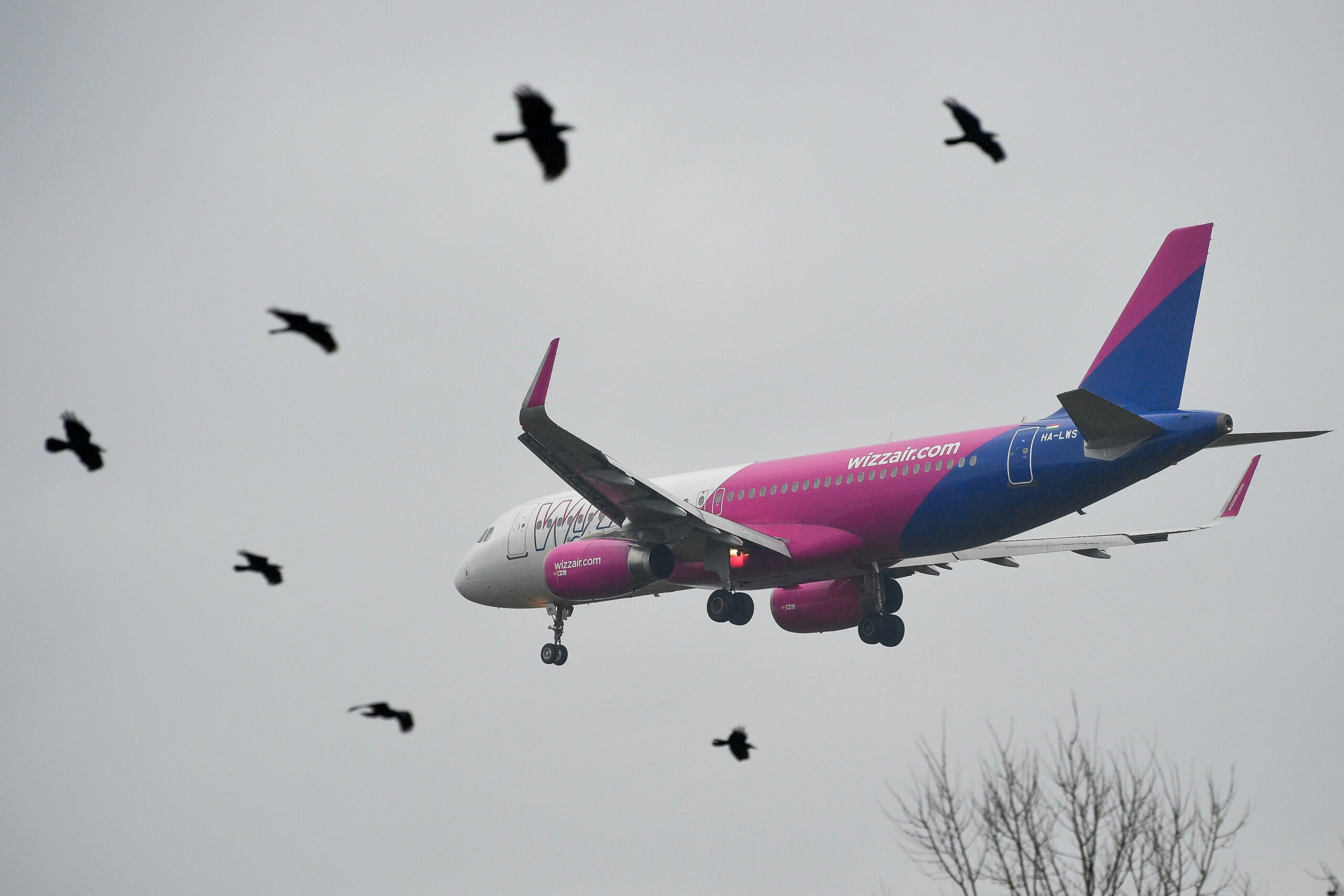 Örökre kitiltották a magyar utast a Wizz Air járatairól, miután verekedett a dzsiddai gépen