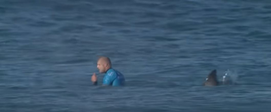 Élő adásban támadott meg egy cápa egy ausztrál szörföst