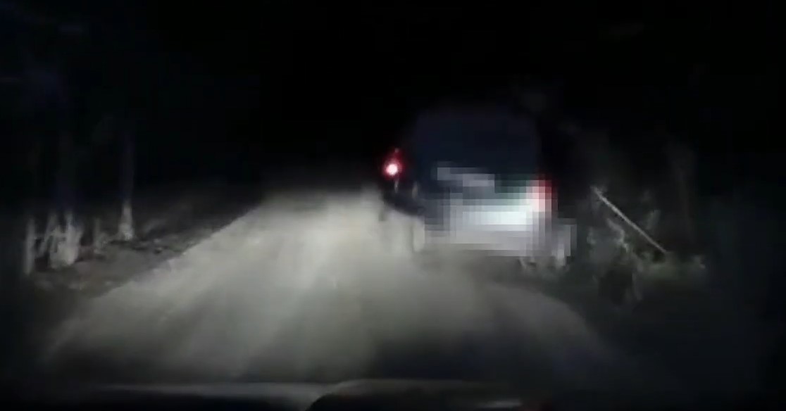 Videó, ahogy részegen, lopott kocsival menekült a rendőrök elől egy veszprémi férfi