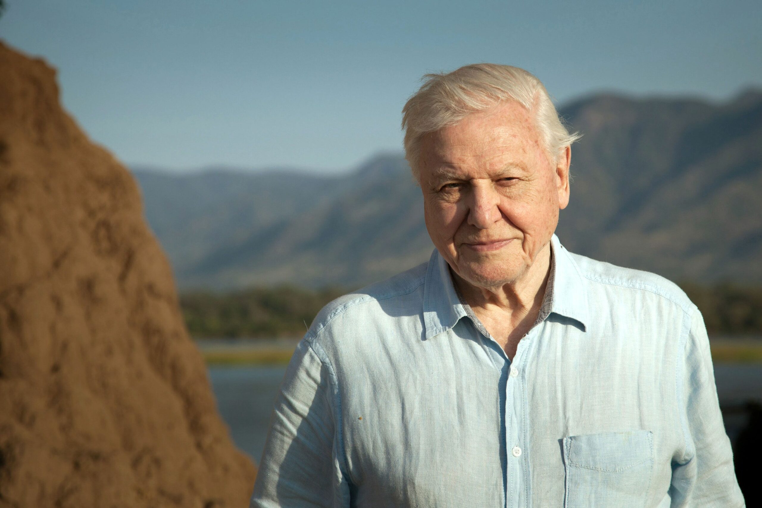 Túl nagy fogai voltak a tévézéshez, 90 fölött került a csúcsra, és reméli, gyors halála lesz – David Attenborough 97 éves