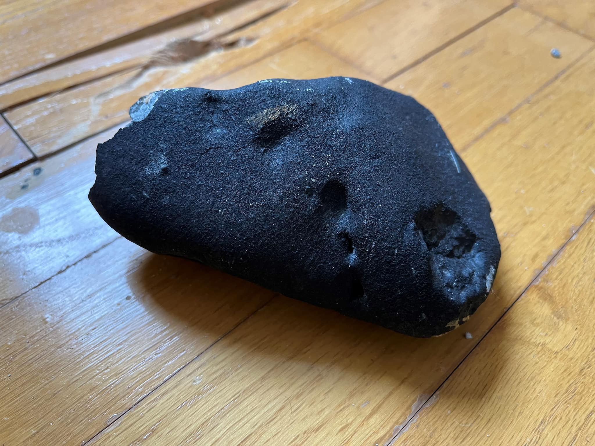 A Halley-üstökös egy darabja csapódhatott egy New Jersey-i házba