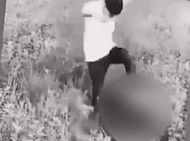 Videón, ahogy társai brutálisan megvernek egy 11 éves fiút a mezőn