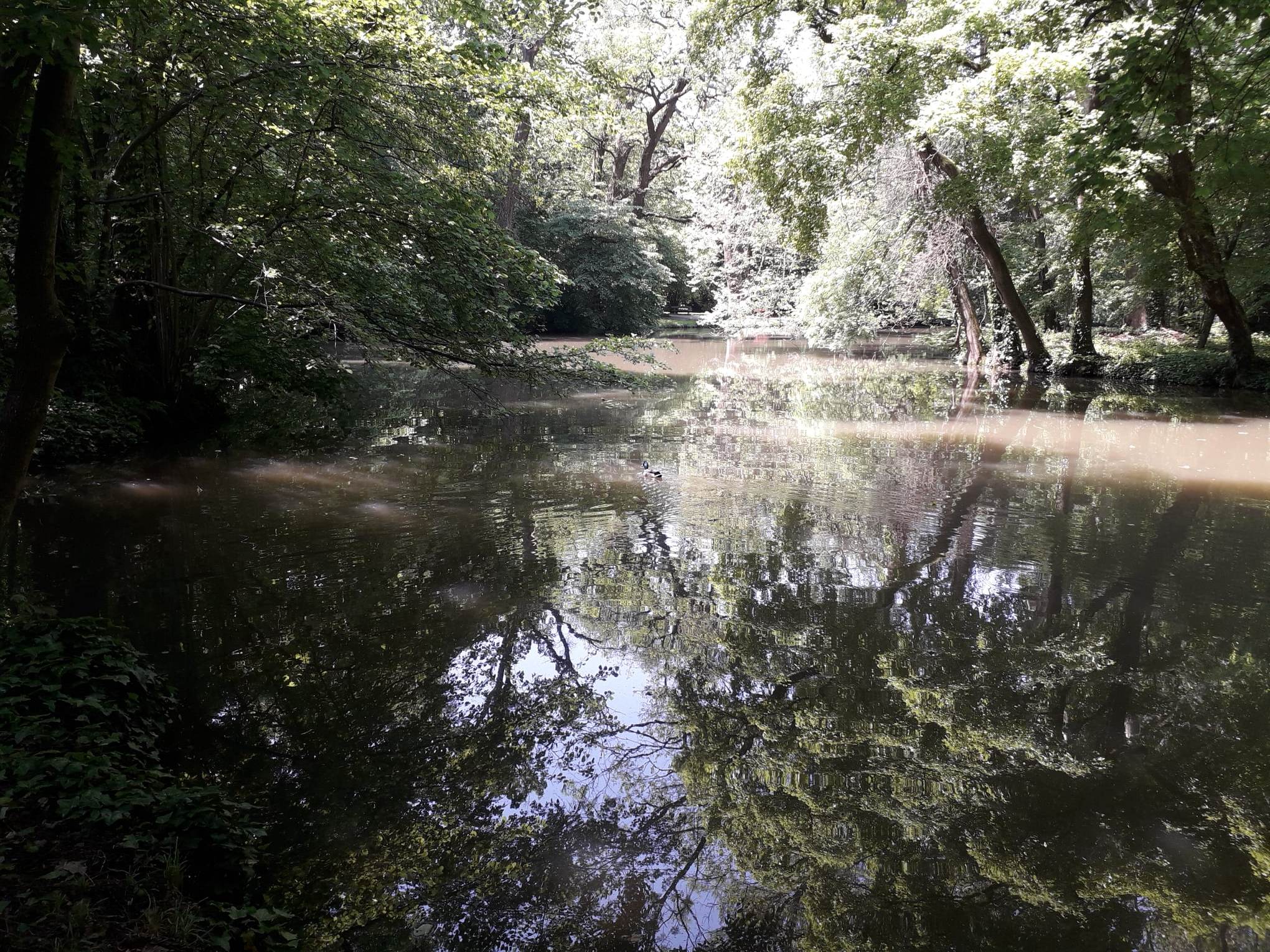 A lélegzetelállító, zöldellő csend ezernyi árnyalata között – Barangolások a sárvári arborétumban