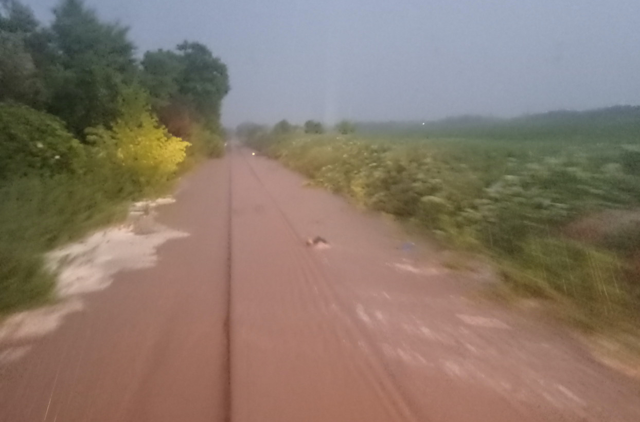 Leállt a vasútforgalom Kaposvárnál, elmosta a síneket az eső