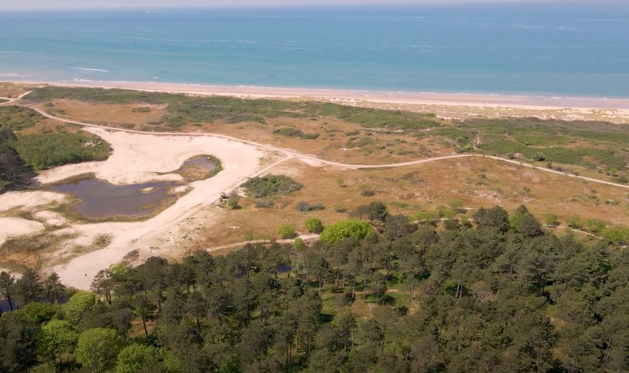 Betiltották a szabad ég alatti szeretkezést egy nudista strandon