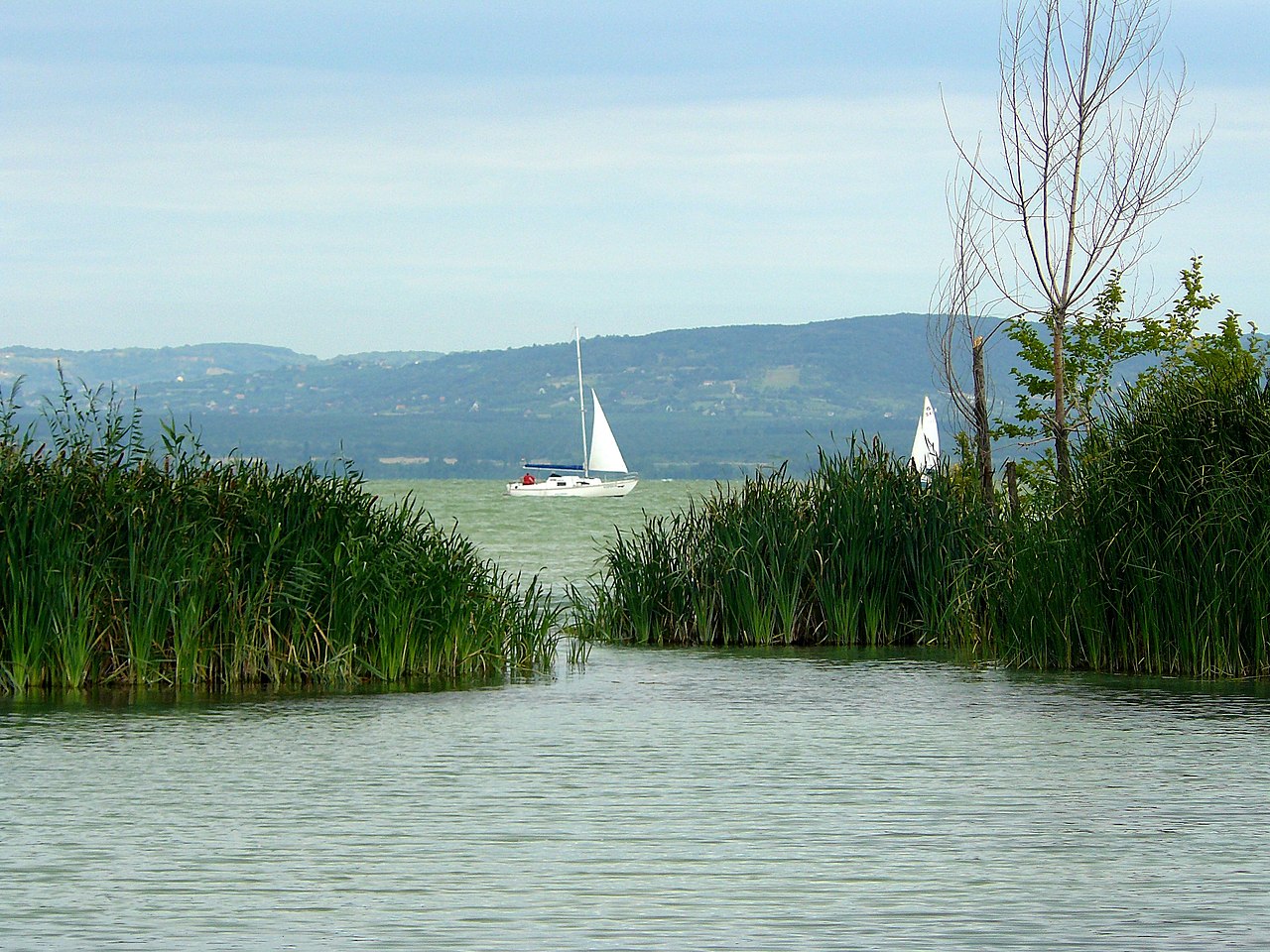 Egy ötvenéves férfi holtestét találták meg a Balatonban