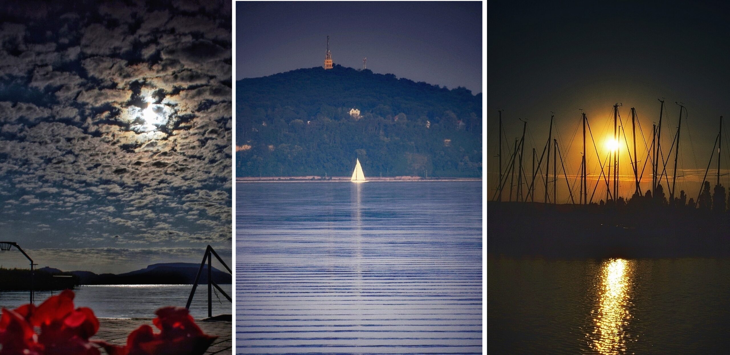 Fotók: Hullámok, virágok, csónakok és hattyúk – Ilyen a koranyári Balaton ezer arca