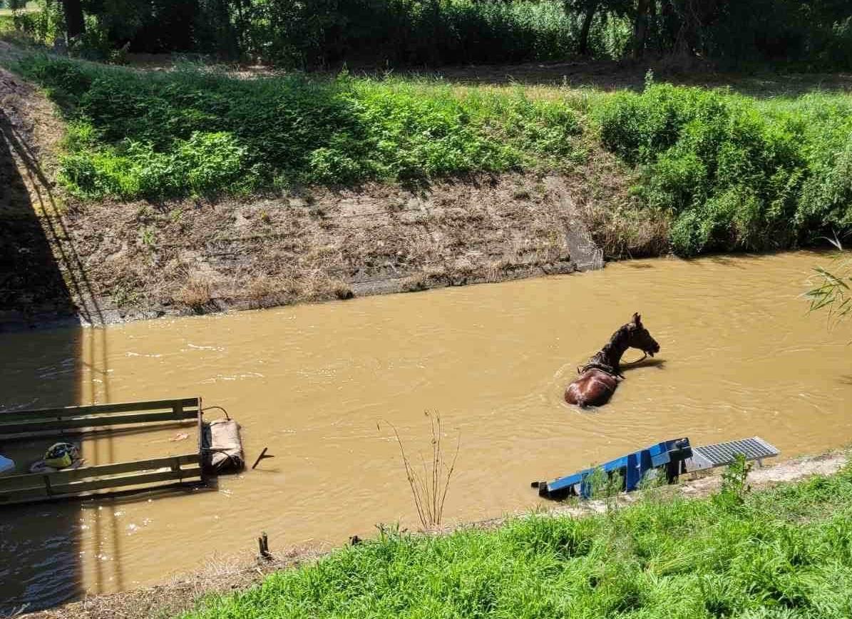Lovak rekedtek a csatornában – 9 emberrel borult a vízbe egy lovaskocsi, a tűzoltóknak kellett kihúzni
