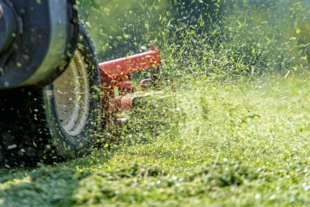 Fűnyírótraktorral gázoltak halálra egy fiatal hajléktalan nőt, miközben egy kaliforniai parkban aludt