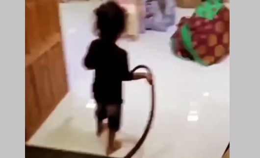 Vérfagyasztó videón, ahogy egy kígyóval a kezében sétál be a szobába egy kisgyermek