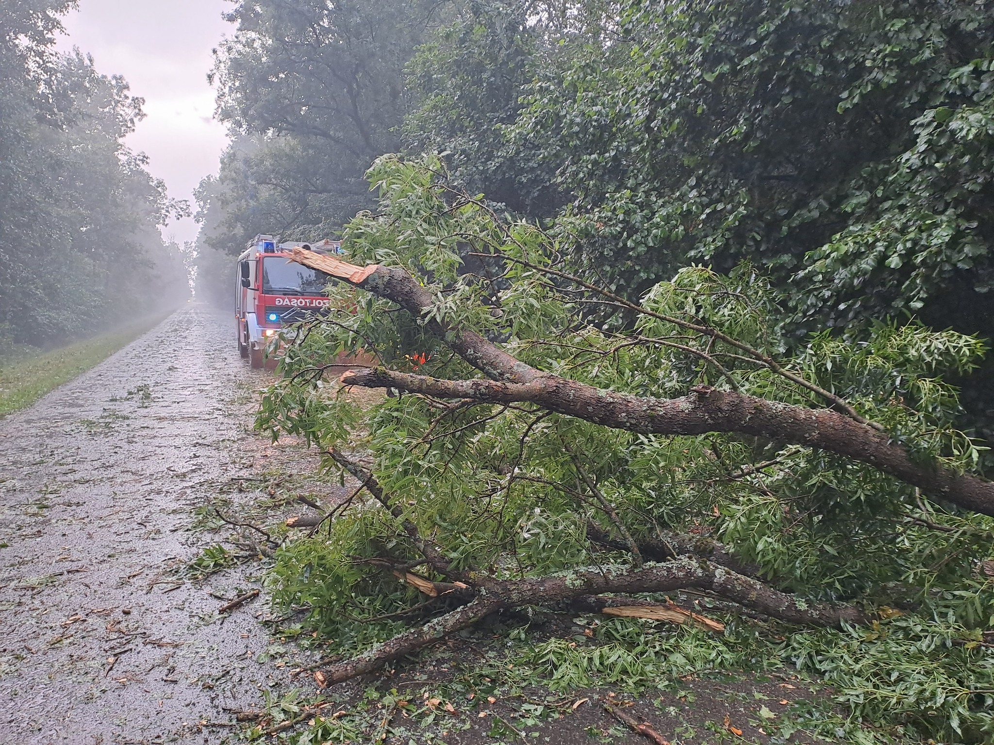 Leszakadt vezetékek, háztetőkre, utakra dőlt fák – elképesztő pusztítást végzett a péntek esti vihar