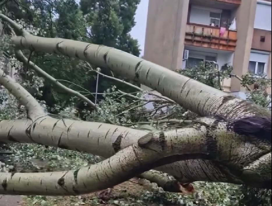 Brutális erővel csapott le a vihar Ceglédre és Hódmezővásárhelyre – videók