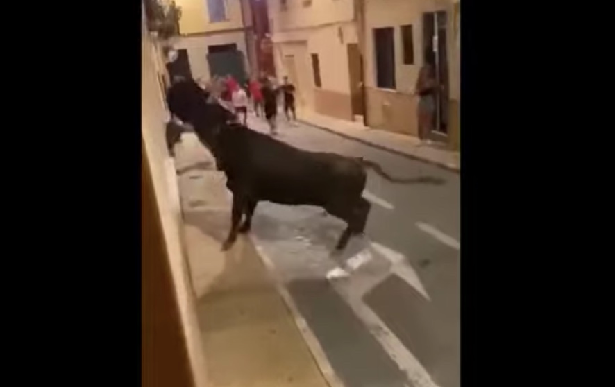 Sokkoló videón, ahogy egy bika felnyársal egy 19 éves fiút Spanyolországban