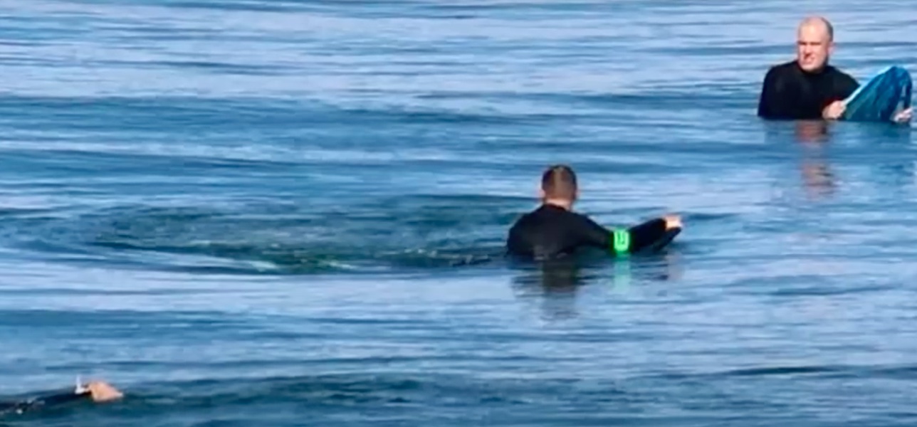 Fél percig küzdött a cápával egy szörfös, mielőtt a ragadozó leharapta a lábfejét