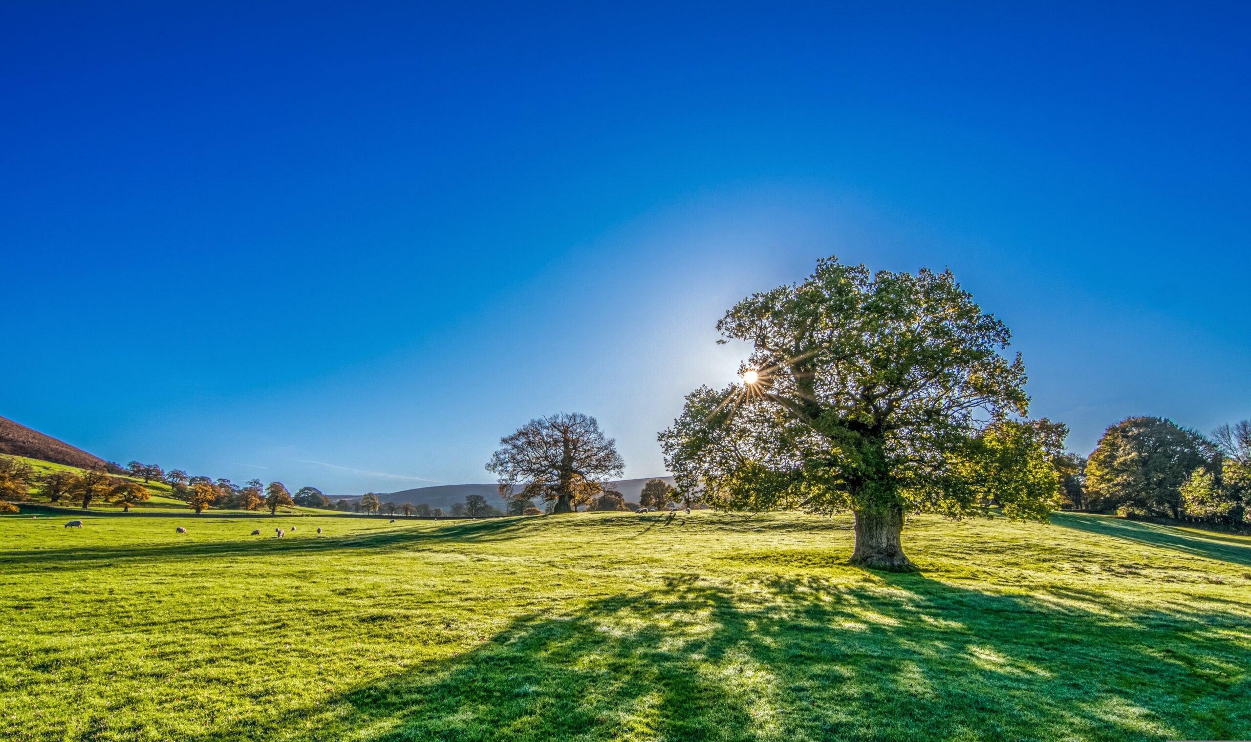 Mutatjuk, hogy meddig tart még ki a szeptemberi nyár