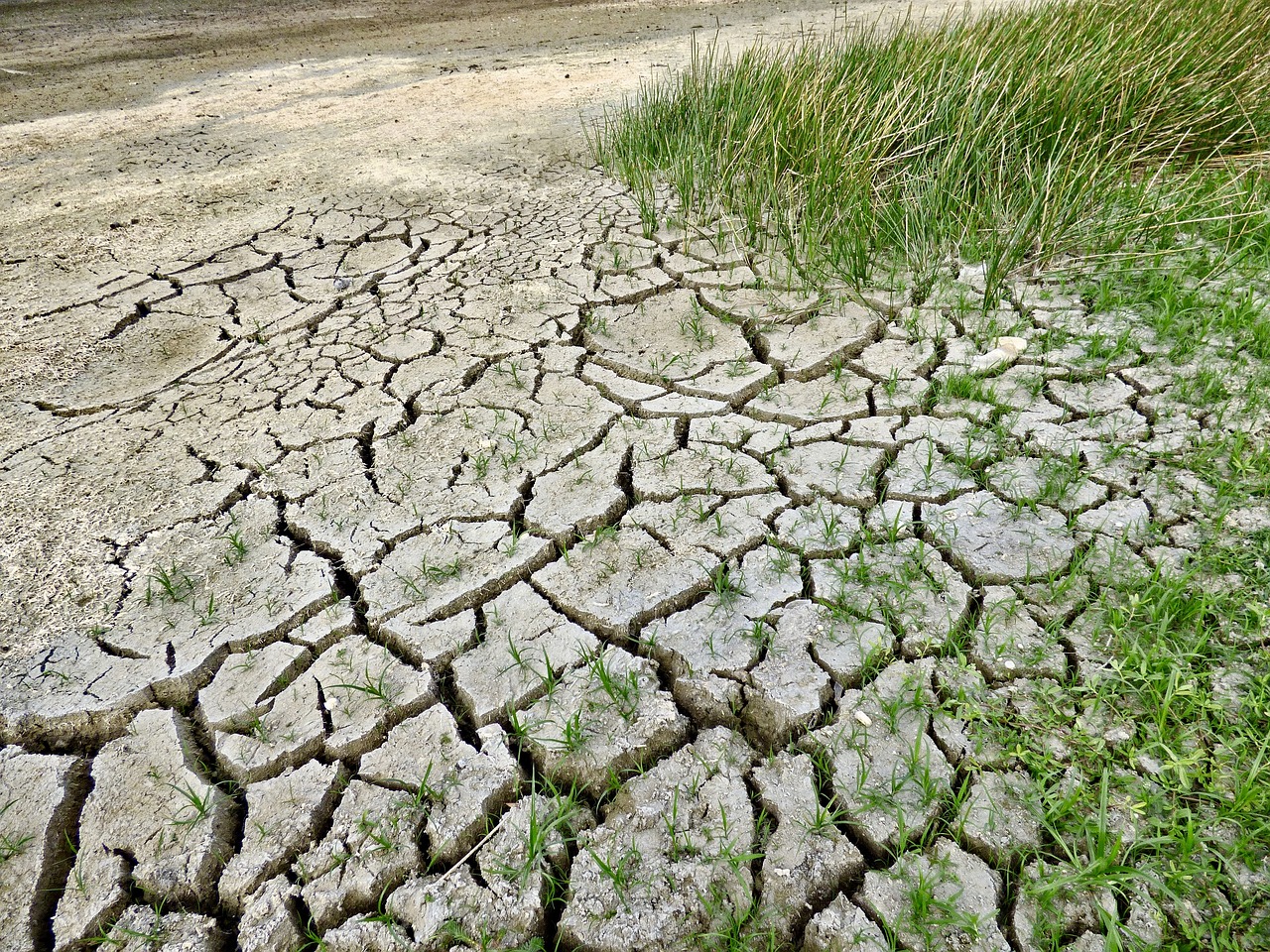 Közelíti Magyarországot a klímasemlegességhez a frissített nemzeti klímaterv, de továbbra sem érjük el vele