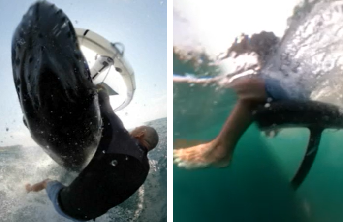 Megdöbbentő videó: a szörfös saját kamerája vette fel, ahogy egy bálna hirtelen elgázolja a férfit
