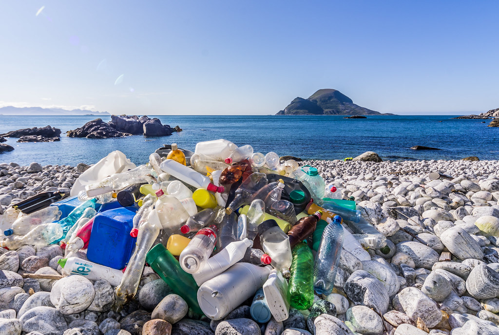 Génmódosított műanyagfaló baktériumokkal vehetik fel a harcot a műanyagszennyezés ellen