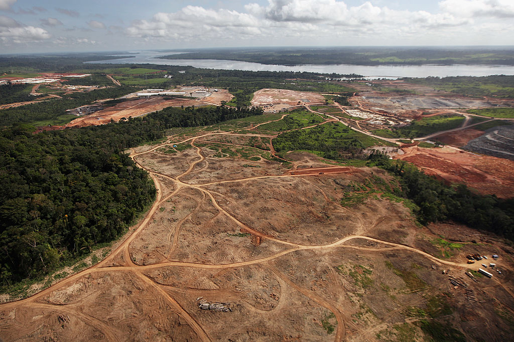 A brazil gazdák azért irtják az esőerdőt a földjükön, nehogy a szomszédok megszólják őket