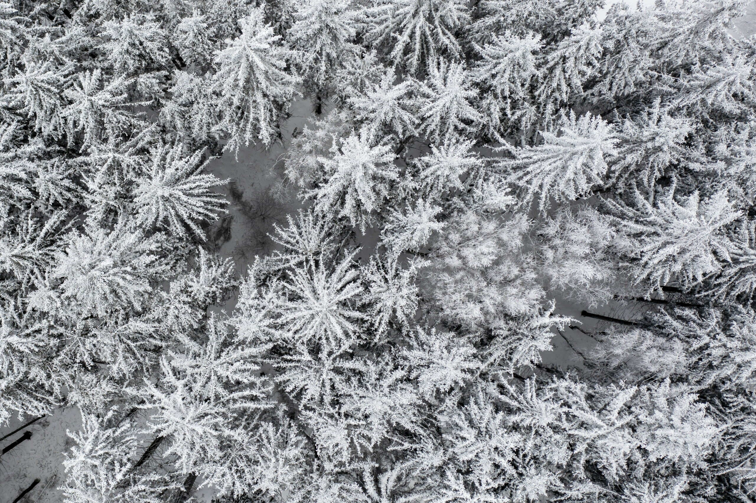 Rengeteg havat hoz a Mikulás – mellé egy kis ónos esőt is
