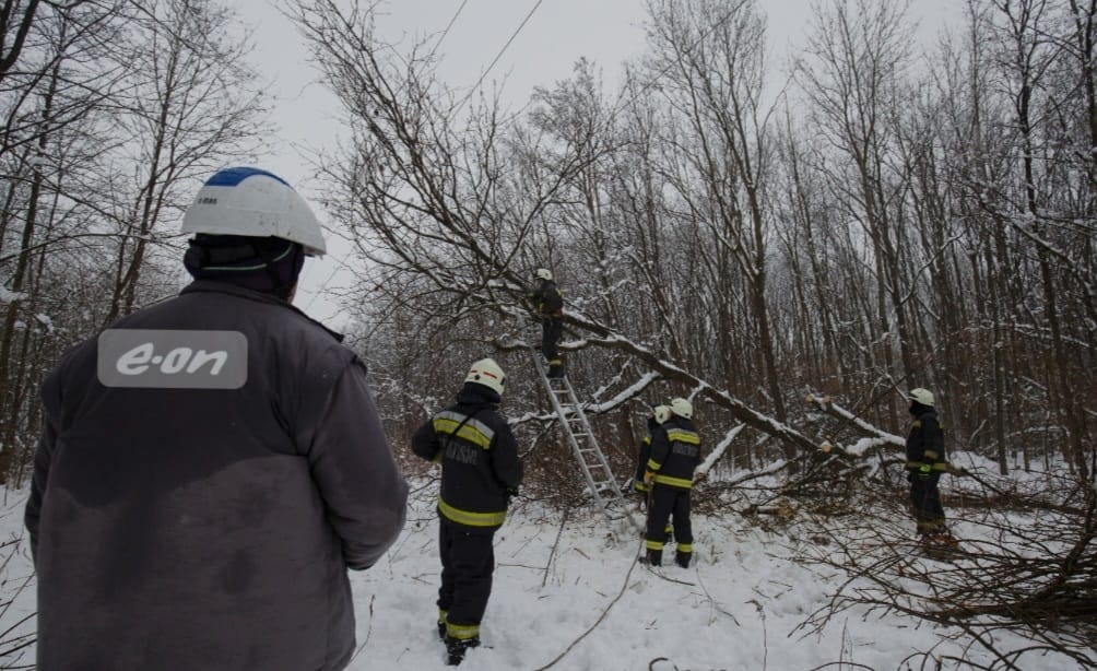 Villanyvezetékre dőlt fákkal, kidőlt oszlopokkal küzdenek a fővárosi agglomerációban