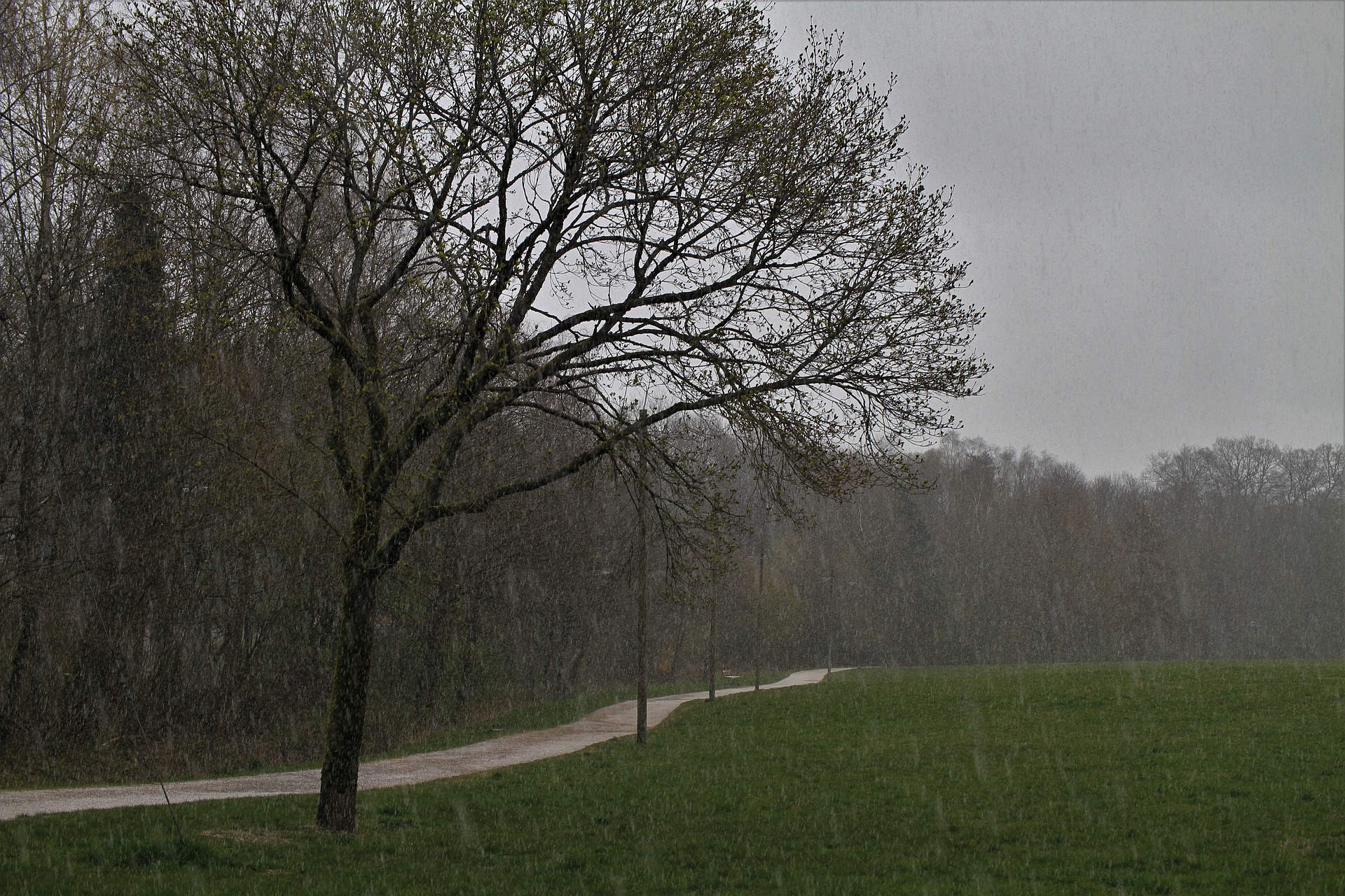 Viharos szél, hófúvás, ónos eső – lesz minden vasárnap Magyarországon