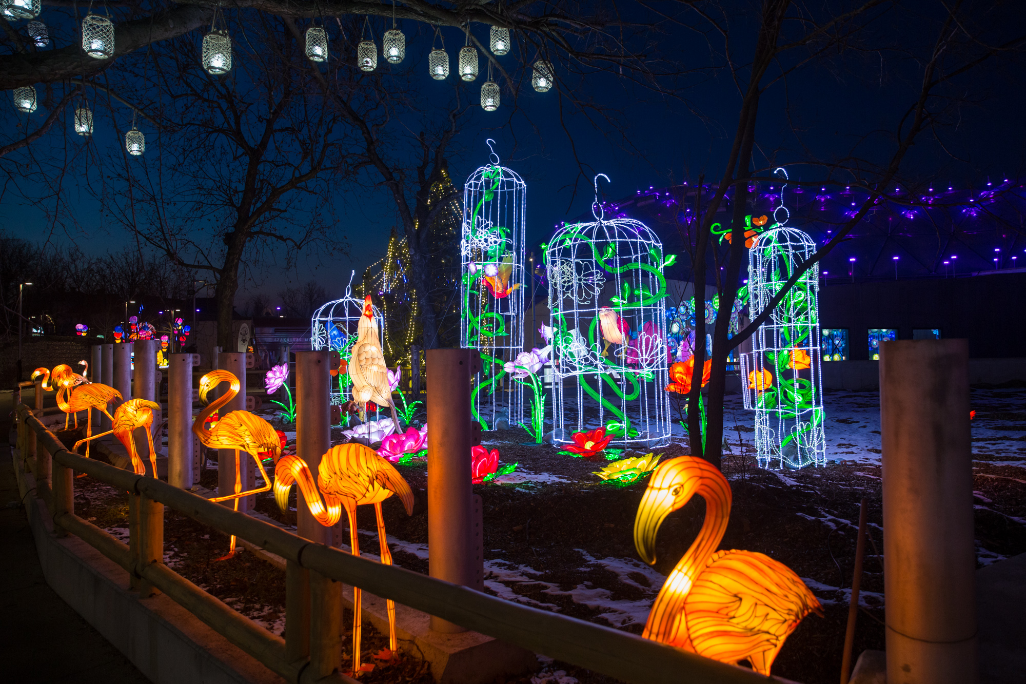 Fotókon a látványos Sárkány Éve Lampion Fesztivál a Biodómnál