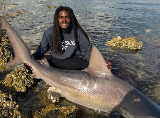 Videó: Puszta kézzel fogta ki a méretes cápát a férfi, majd szépen visszaterelte a tengerbe