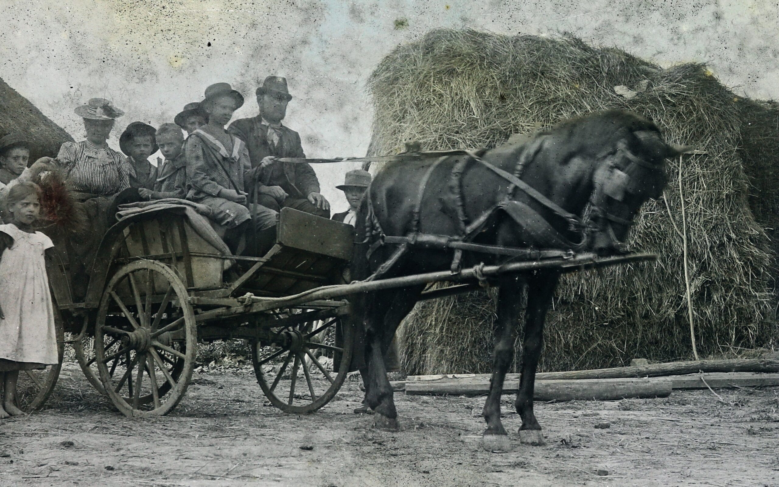 Leissza magát a sárga földig, dögrováson van – 10 magyar szólás-mondás, aminek te sem tudtad az eredetét (2. rész)