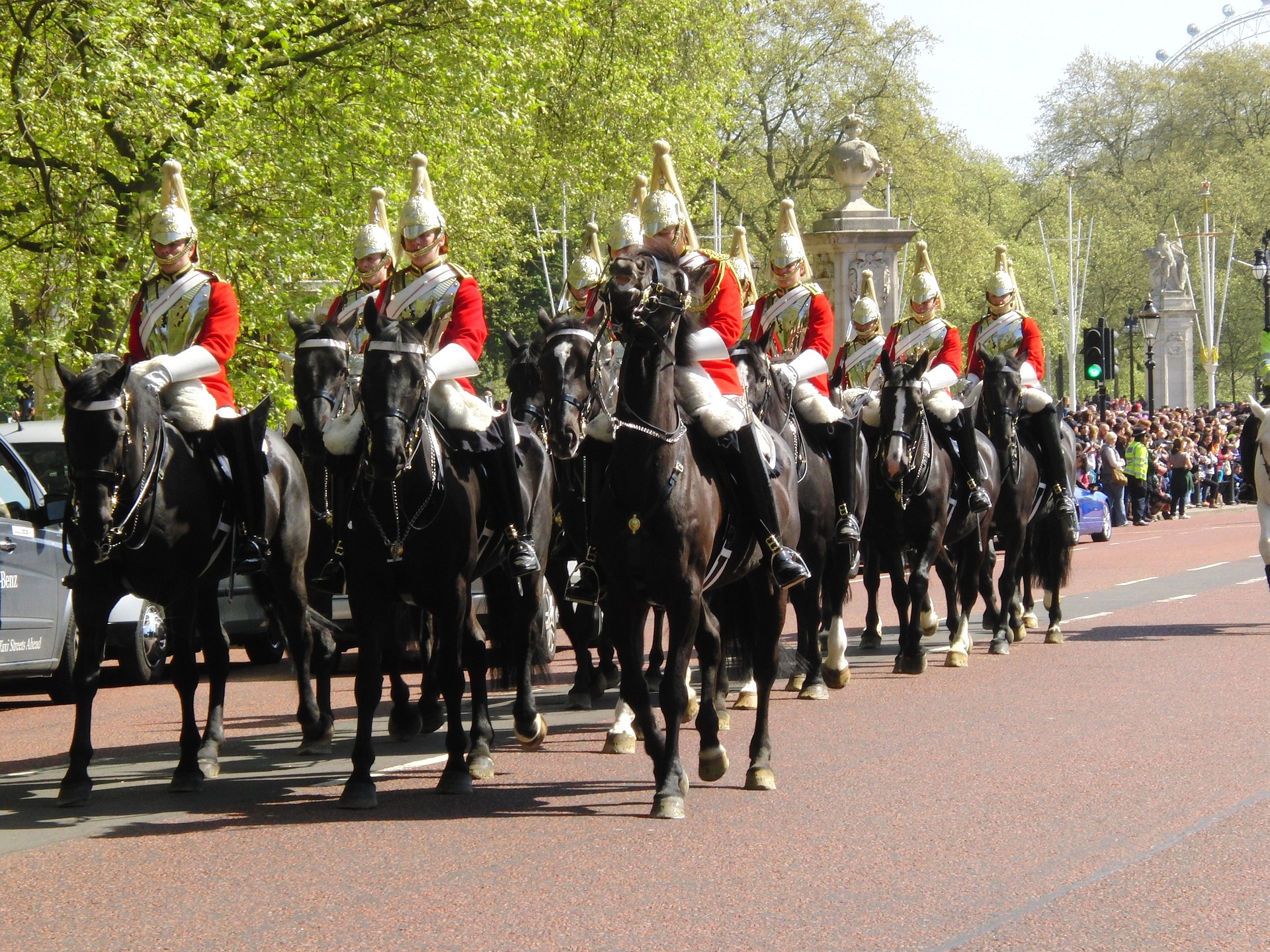 Vérfoltok, összetört autók, sérültek – hajtóvadászatban fogták el a Buckingham-palota elszabadult lovait