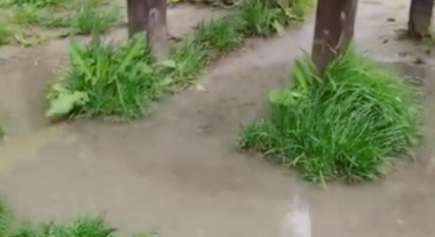 Ömlött a szennyvíz Normafa természetvédelmi területére Gattyán György szállodájából - videó!