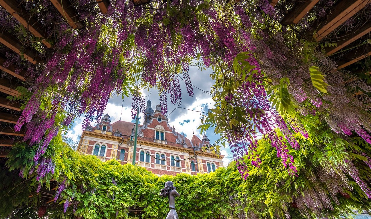 Színek, virágok, fények – Néhány kép, amely biztos meggyőz arról, hogy Szeged bakancslistára való tavasszal is