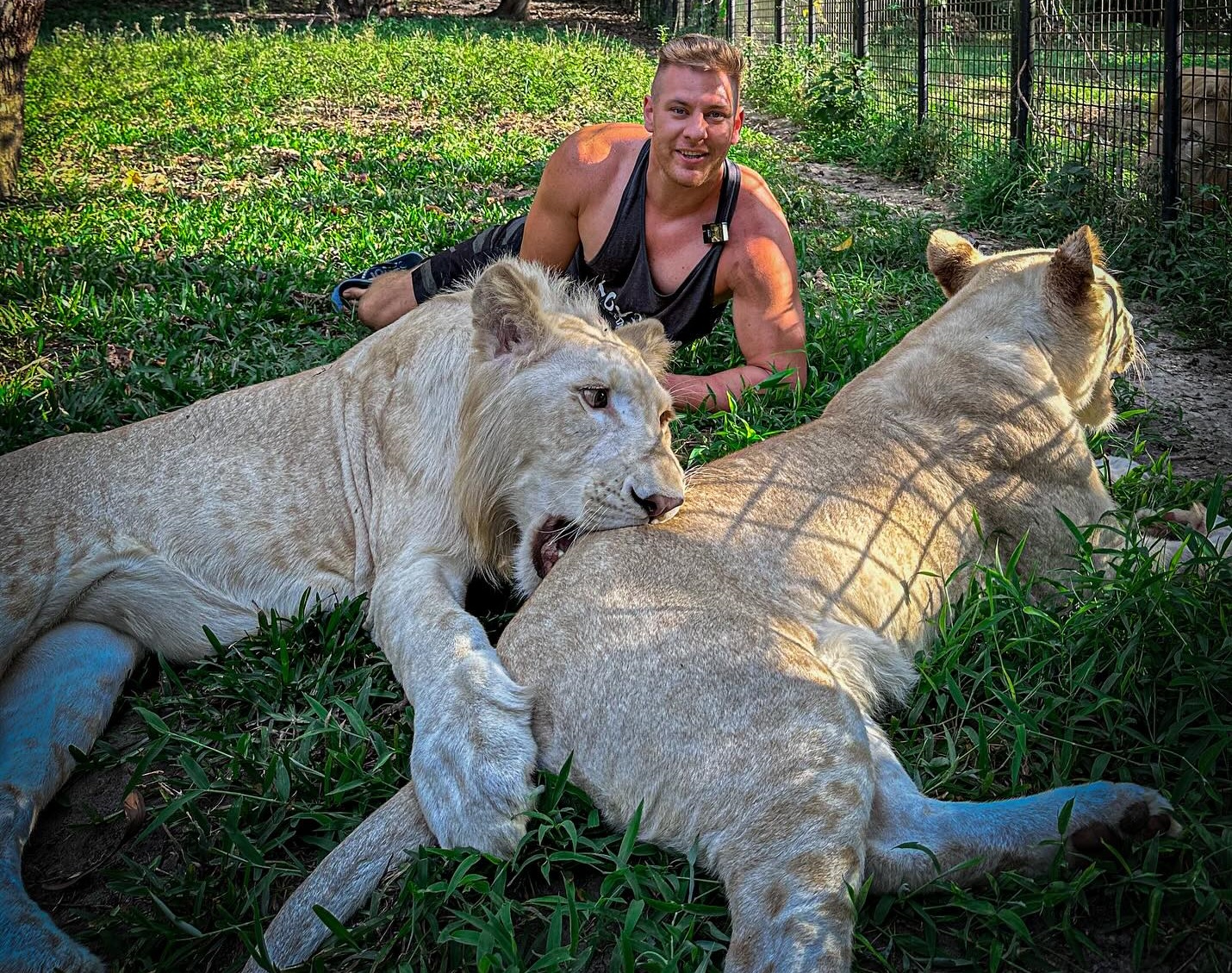 A gepárdja mentette meg a magyar Maugli lábát, miután rátámadt a saját oroszlánja