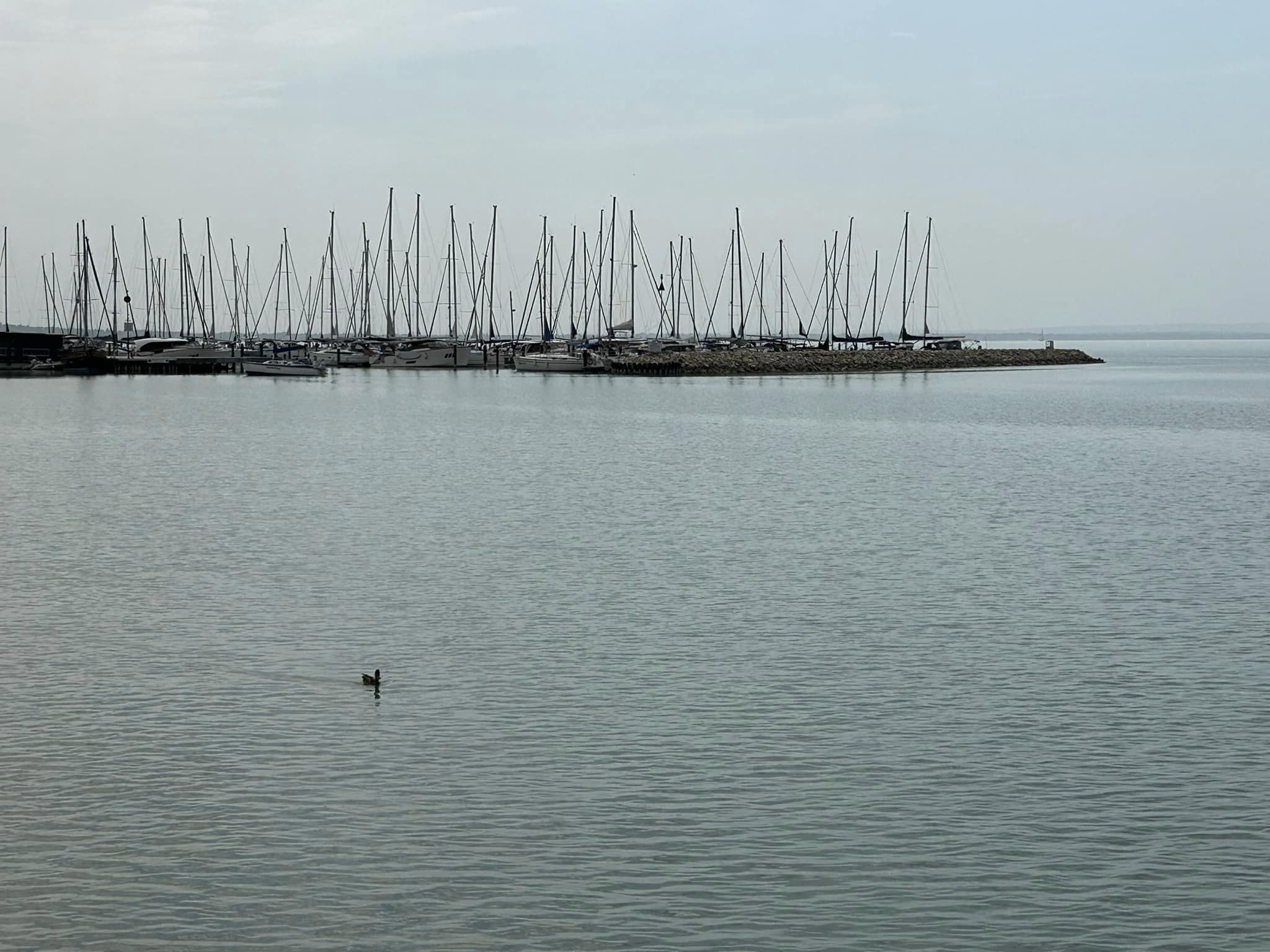 Bűzlik az ivóvíz a Balatonnál, de iható – Kiderült mi okozza a kellemetlen szagokat